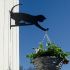 Hanging Basket Bracket With Cat Design